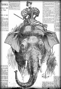 Nellie Bly Articles: Elephant Trainer. New York World, Feb. 23, 1896.